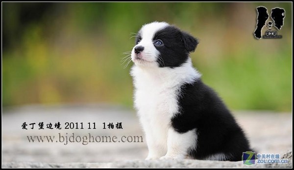 Cg-4WlCu6qaIfOjIAACDxfxxPIoAACX7gLc3PAAAIPd427.jpg